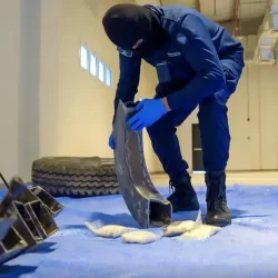 خادم الحرمين الشريفين وسمو ولي العهد يهنئان الرئيس الإيراني بذكرى اليوم الوطني لبلاده