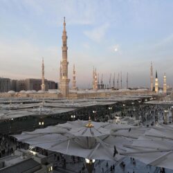 استقرار أسعار الذهب مع صعود الدولار