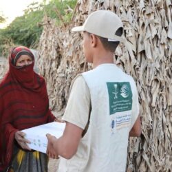 نائب وزير الخارجية يستقبل سفير جمهورية سلوفينيا غير المقيم لدى المملكة