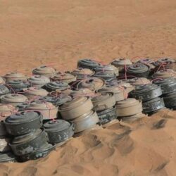 أمير منطقة المدينة المنورة يستقبل القنصل العام الفرنسي بجدة