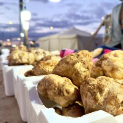 سمو وزير الدفاع يعقد لقاءات جانبية مع عدد من وزراء الدفاع من الدول الإسلامية على هامش اجتماع وزراء دفاع دول التحالف الإسلامي العسكري لمحاربة الإرهاب