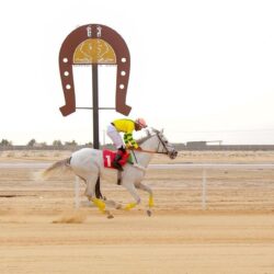 جامعة الباحة تُعلن تعليق الدراسة الحضورية اليوم الأحد