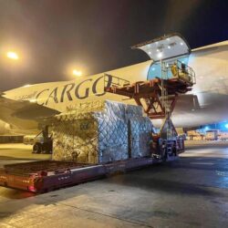 استقرار أسعار الذهب رغم ارتفاع الدولار