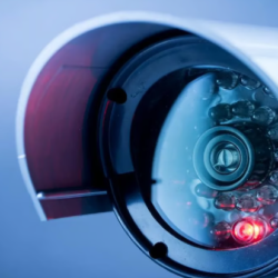 مركز الملك سلمان للإغاثة ينتزع 768 لغماً عبر مشروع “مسام” في اليمن خلال أسبوع