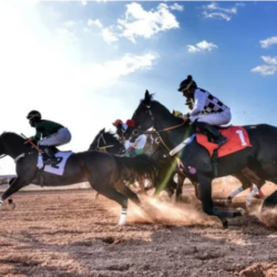 دوري أبطال أوروبا: نابولي يفرض التعادل على برشلونة 1 – 1