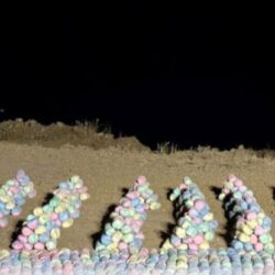 اختتام منافسات الجولة 20 من دوري روشن بمواجهتين