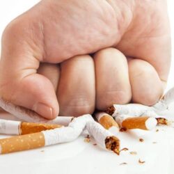 ” بيئة العرضيات “توزع شتلات بمناسبة يوم السعودية الخضراء