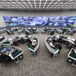 “فهد الخضيري” يوضح حقيقة وجود سموم في براعم البطاطا