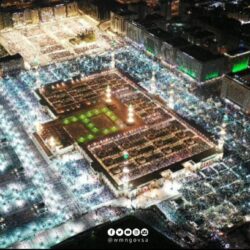 طلاب وطالبات المملكة يفوزون بذهبيتين وفضية في منافسات الشعر والقصة والرواية على مستوى الخليج العربي