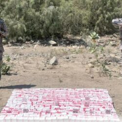 هيئة النقل تصدر دليل التنقل خلال موسم العمرة مشتملًا على وسائل النقل وطرق الاستفادة منها