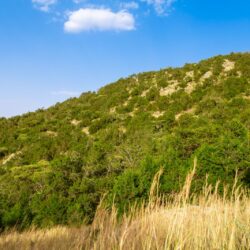 خادم الحرمين الشريفين يرأس جلسة مجلس الوزراء .. ويصدر عددًا من القرارات