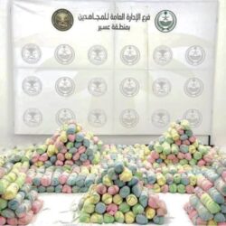 الغابات في السعودية.. مساحات شاسعة وجهود حثيثة للارتقاء بجودة الحياة