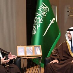 أمانة المدينة المنورة تنفذ أكثر من 16 ألف جولة رقابية خلال الشهر الماضي