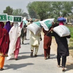 نيابة عن خادم الحرمين الشريفين.. سمو ولي العهد يتسلم أوراق اعتماد سفراء عدد من الدول الشقيقة والصديقة المعينين لدى المملكة