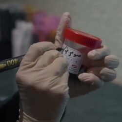 نيابة عن خادم الحرمين الشريفين.. سمو ولي العهد يتسلم أوراق اعتماد سفراء عدد من الدول الشقيقة والصديقة المعينين لدى المملكة