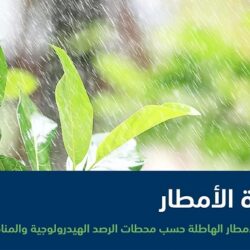 أمانة جدة تضبط مستودعاً لتخزين مشروبات غازية غير مصرح ببيعها ومواد فاسدة