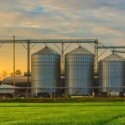 خادم الحرمين وولي العهد يهنئان رئيس باكستان بذكرى اليوم الوطني لبلاده