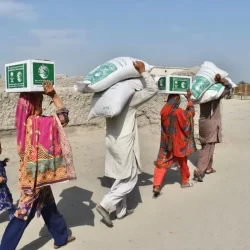 الدكتور الربيعة يلتقي سفير مملكة النرويج لدى المملكة