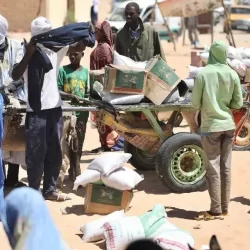 مكافحة المخدرات تقبض على شخص بمنطقة الجوف لترويجه مادة الحشيش المخدر