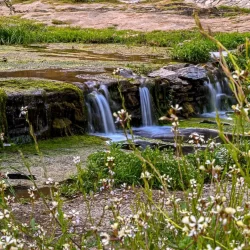 “إحسان” منصة وطنية موثوقة للتبرعات الخيرية بالمملكة استفاد منها أكثر من 4.8 ملايين شخص