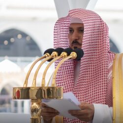 ارتفاع صادرات المملكة من التمور بنسبة 14% خلال 2023