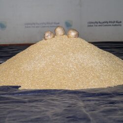 “كاوست” تتوج مسيرة البحث والابتكار بـ 12 مركز أبحاث تواكب رؤية المملكة 2030