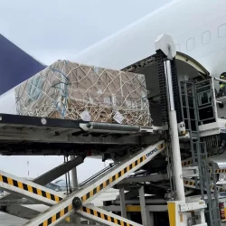 “الشؤون الإسلامية” بالرياض تغطي المصليات النسائية بـ(6875) جولة