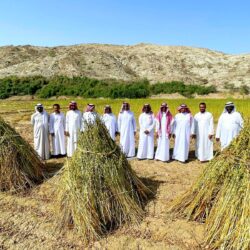 الهيئة العامة للطرق تُعلن جاهزية طرق المملكة لخدمة ضيوف الرحمن والمعتمرين خلال شهر رمضان