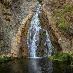 170 متطوّعًا ومتطوعة من سواعد الصحة داخل الحرم المكي الشريف وقطار الحرمين