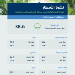 القوات الخاصة للأمن والحماية تضبط 3 مخالفين لنظام البيئة لاستغلالهم الرواسب دون ترخيص