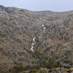 مركز الملك سلمان للإغاثة يوزع 810 سلال غذائية في منطقة جاوا الوسطى بجمهورية إندونيسيا