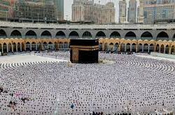 “المنظمة الدولية للإبل” تحصل على العضوية الكاملة في اللجنة التوجيهية للسنة الدولية للإبل