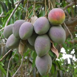 أرامكو السعودية تُعلن النتائج المالية لعام 2023م بتسجيل ثاني أعلى صافي دخل على الإطلاق