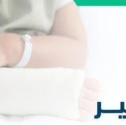 المؤتمر الدولي للمذاهب الإسلامية يستعرض مبادرات عملية لتقريب الرؤى بين أتباع المذاهب