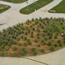 رئيس البرلمان العربي يدعو الشبكة البرلمانية لحركة عدم الانحياز إلى إنشاء لجنة خاصة بفلسطين