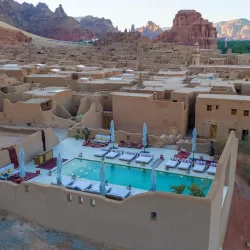 6 جهات تنفذ مبادرة تطوعية للتشجير في الشميسي