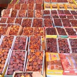 “البرلمان العربي” : اللغة العربية أثرت المخزون الثقافي للحضارة الإنسانية