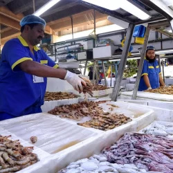 المركز الوطني للأرصاد: أمطار غزيرة على منطقة المدينة المنورة