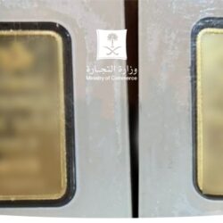 فوائد تناول بذور الشيا يومياً