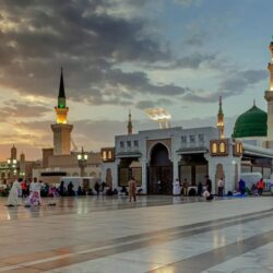 الهيئة العامة للأمن الغذائي تطرح المناقصة الأولى لهذا العام لاستيراد 595 ألف طن قمح