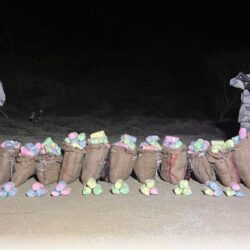 حرس الحدود بعسير يحبط تهريب (260) كيلوجرامًا من نبات القات المخدر