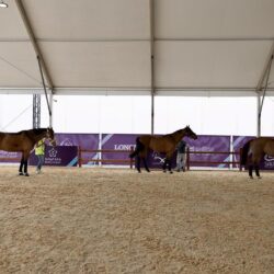 الجوازات تصدر (16667) قراراً إدارياً بحق مخالفين لأنظمة الإقامة والعمل وأمن الحدود