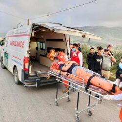 القوات الخاصة للأمن البيئي تقبض على (3) مخالفين لنظام البيئة لارتكابهم مخالفة الصيد دون ترخيص بمحمية الأمير محمد بن سلمان الملكية