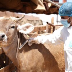 افتتاح الملتقى السنوي الثاني للأطباء السعوديين في إيرلندا