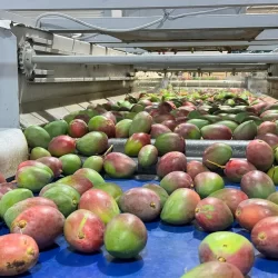 الأرصاد: الفرصة مهيأة لهطول أمطار رعدية مصحوبة برياح نشطة على هذه المناطق