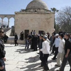 “وزارة البيئة” تطرح فرصة استثمار جزء من متنزه البهيتة الوطني