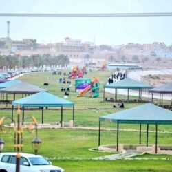 ارتفاع أسعار الذهب مدعومة بمشتريات بنوك مركزية