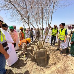 ” بيئة العاصمة المقدسة”  تنفذ مبادرة لجمع بذور أشجار السلم والسمر بوادي الصدر