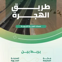 الأمن العام يتيح خدمتي مزاد اللوحات للأفراد ونقلها بين المركبات عبر منصة “أبشر”