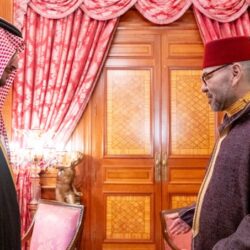 التمياط يسلّم أوراق اعتماده سفيراً لخادم الحرمين الشريفين لدى جمهورية موريشيوس